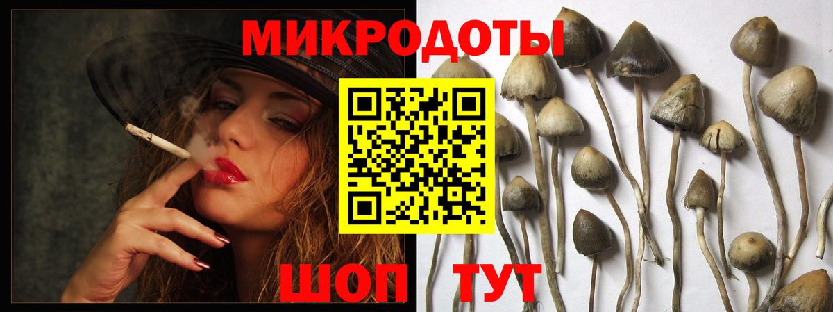 Псилоцибиновые грибы Psilocybine cubensis Чусовой